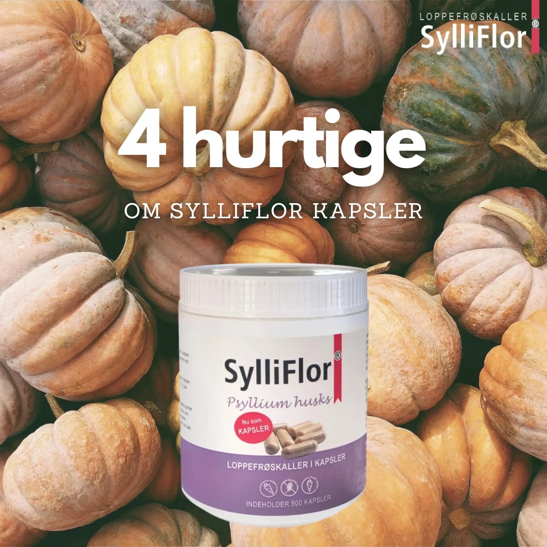 Sylliflor Kapsler - 500 kapsler Uglecare Sylliflor Kapsler - 500 kapsler - Billede 7