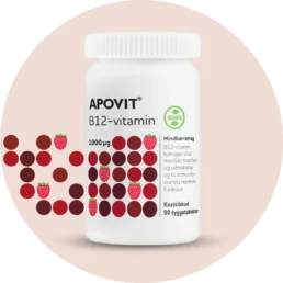 APOVIT B12-vitamin, 1000 µg - 90 stk
