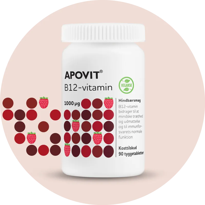 APOVIT B12-vitamin, 1000 µg - 90 stk
