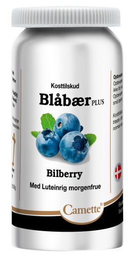 Camette Blåbær