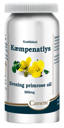 Camette Kampenatlys