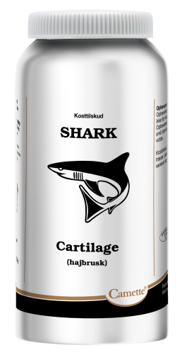 Camette Shark