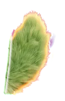 Uglecare